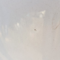 Заднее левое крыло