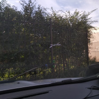 Ветровое стекло