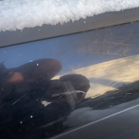 Передняя правая дверь