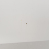 Задняя левая дверь