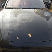 Фото транспортного средства