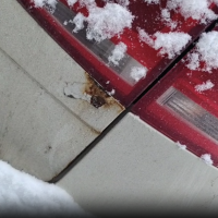 Крышка багажника