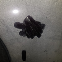 Заднее левое крыло