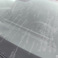 Ветровое стекло