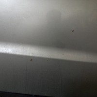 Задняя левая дверь