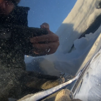 Переднее левое крыло