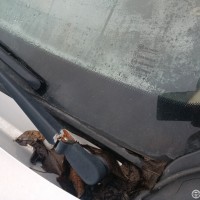 Фото транспортного средства