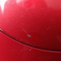 Заднее правое крыло