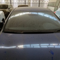 Ветровое стекло