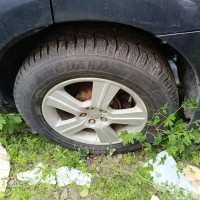 Фото транспортного средства