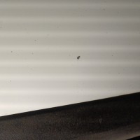 Передняя правая дверь