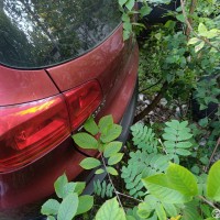 Крышка багажника