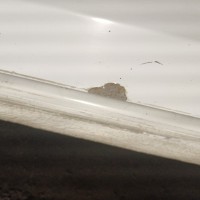 Передняя правая дверь