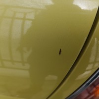 Крышка багажника