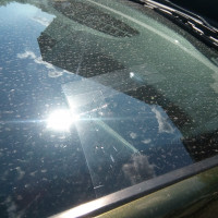 Ветровое стекло