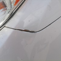 Переднее левое крыло