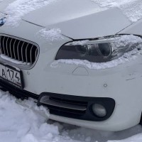 Переднее левое крыло