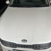 Капот
