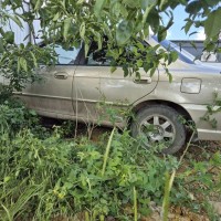 Фото транспортного средства