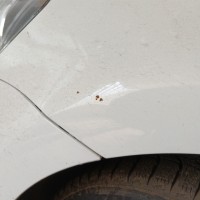 Переднее левое крыло