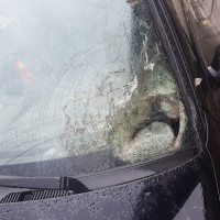 Ветровое стекло