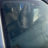 Ветровое стекло