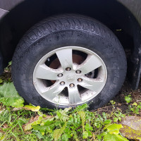 Фото транспортного средства