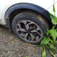 Фото транспортного средства