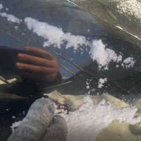 Заднее левое крыло