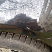 Переднее правое крыло