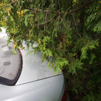 Фото транспортного средства