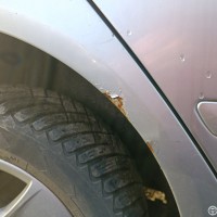 Заднее правое крыло