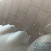 Ветровое стекло