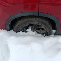 Фото транспортного средства