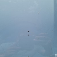 Капот