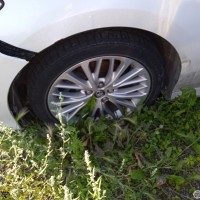 Фото транспортного средства