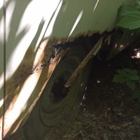 Заднее правое крыло