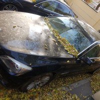 Фото транспортного средства