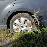 Фото транспортного средства