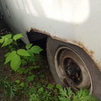 Заднее левое крыло