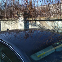 Фото транспортного средства