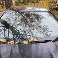 Фото транспортного средства