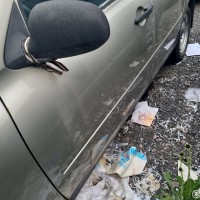 Передняя левая дверь