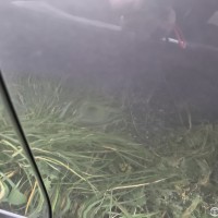 Передняя правая дверь