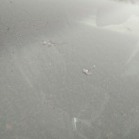 Ветровое стекло