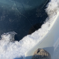 Переднее левое крыло