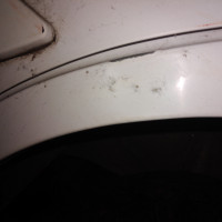 Заднее левое крыло