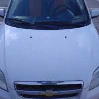 Фото транспортного средства