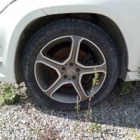 Фото транспортного средства