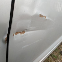 Передняя левая дверь